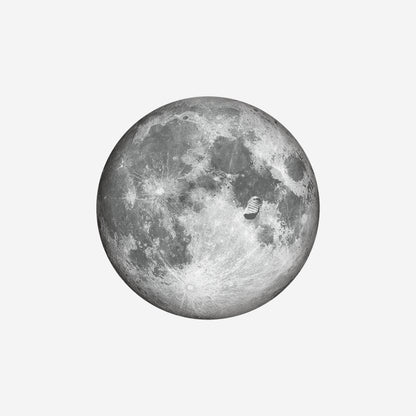 MISSION TO THE MOON